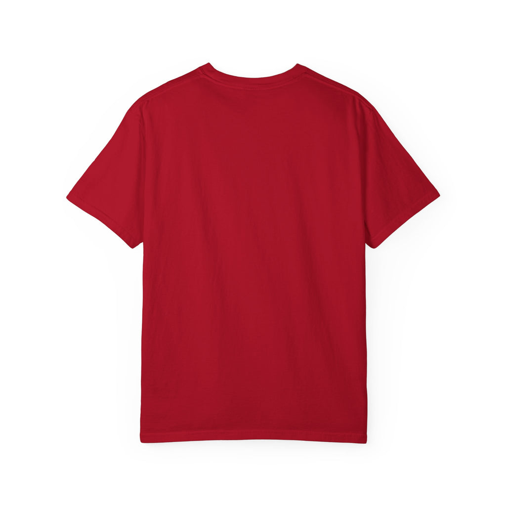 USA 250th Anniversary Capitol Seal T-Shirt | United States of America Tee